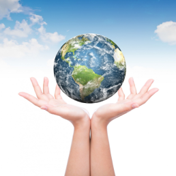 International Businesses